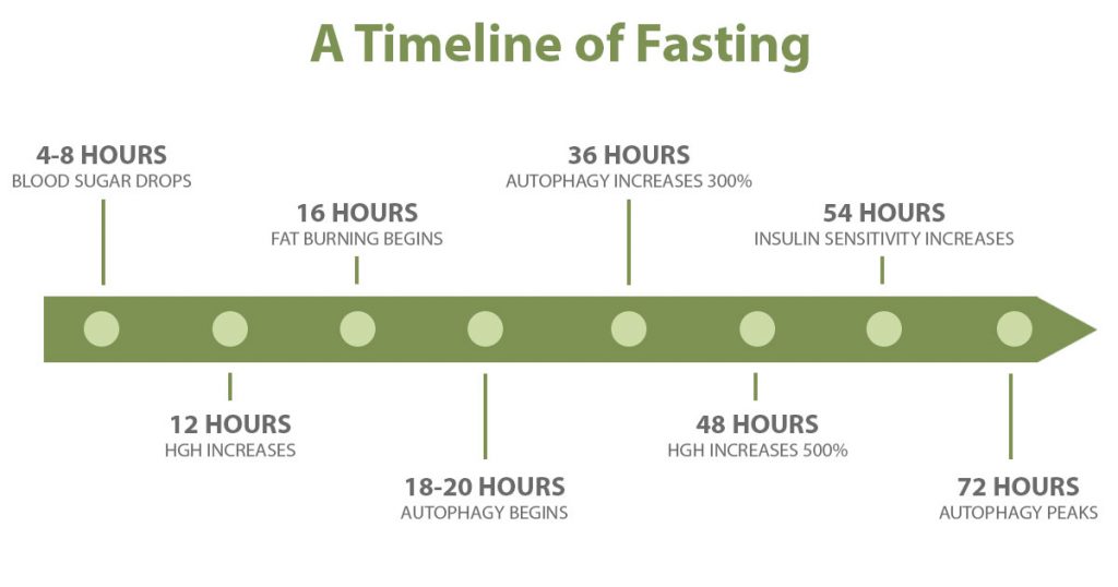 Fasting timeline